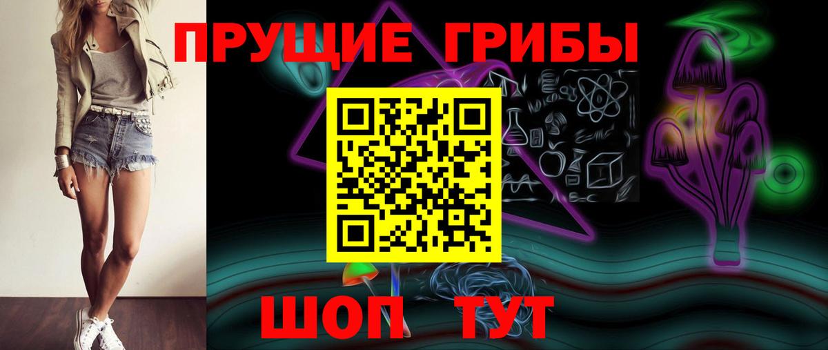 Псилоцибиновые грибы Psilocybe  Вход с VPN  Кимовск 