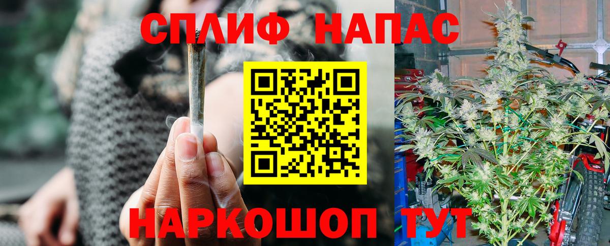 Бошки Шишки сатива Кимовск